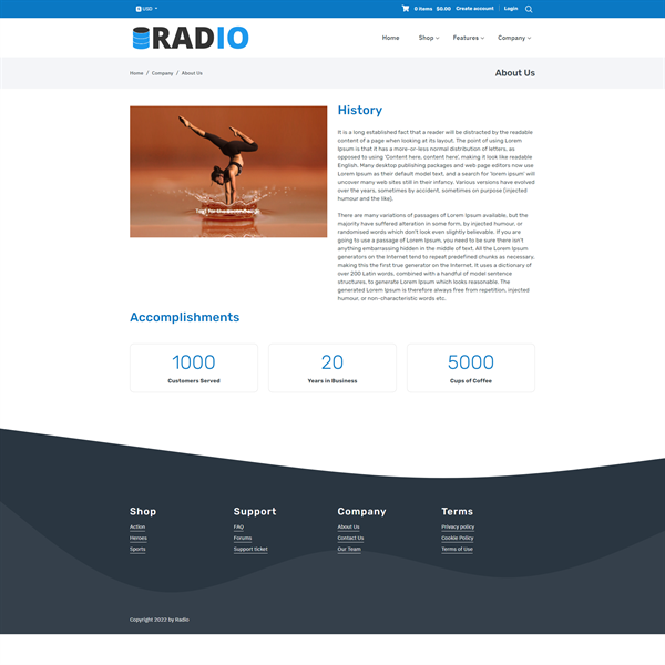 Revindex Radio
